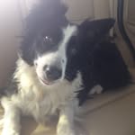 John Bates - @johnbates7556 - Instagram