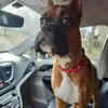 John Batty - @john.batty58 - TikTok