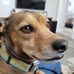 John Baughn - Facebook