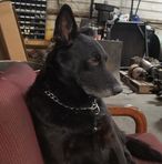 John Baum - Facebook