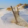 John DeBaun - @john.debaun - TikTok