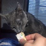 JOHN BAXTER - @john._.baxter - Instagram