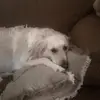 john baxter - @john.baxter36 - TikTok