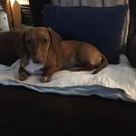 John Bayes - @johnbayes4423 - Instagram