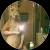 johnbe - @ronco711 - TikTok