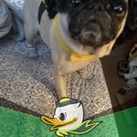 John Bealer - @john.bealer.73 - Instagram