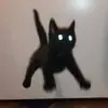 John Beard - @john.beard986 - TikTok
