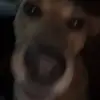 john beasley - @johnbeasley120 - TikTok