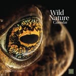 John Beatty - @wildnaturediary - Instagram