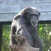 John Beatty - @johnbeatty455 - TikTok