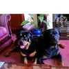 John Beatty - @john.beatty27 - TikTok