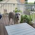 John Beaver - Facebook