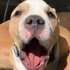 John Beck - @.johnbeck - TikTok
