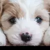 Johnbecker - @johnbecker1910 - TikTok