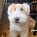@john.beckler83 - Instagram