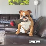 John Beecroft - @beecroft896 - Instagram