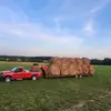 johnathonbeeson12 - @johnathonbeeson12 - TikTok