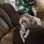 John Begin - @john.begin - Instagram
