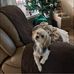 John Begin - Facebook