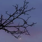 @john_beginner_photographer - Instagram