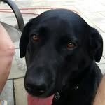 John Behe - @johntbehe - Instagram