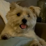 John Behr - @johnrbehr2019 - Instagram