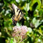 John Behr - @john.behr.146 - Instagram