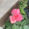 John Behrendt - @johnbehrendt - TikTok