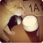 John Behrens - @oneeyedclyde - Instagram