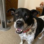 John Behrens - @jhb0929 - Instagram