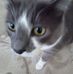 John Bell - Facebook