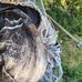 John Bellar - Facebook