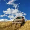 johnbellizzi - @johnbellizzi - TikTok