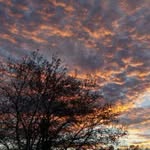John Benfield - @john.benfield.581 - Instagram