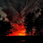 John Benishek - @johnbenishek - Instagram