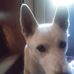 John Benwell - Facebook