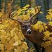 John Beranek - Facebook
