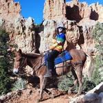 John Berentsen - @johnberent - Instagram