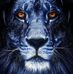 John Berkman's - Facebook