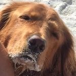 John Berkowitz - @berkowitzjohn - Instagram
