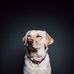 John Berkowitz - Facebook