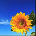 John Berman - @johnberman6577 - Instagram
