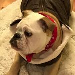 John Berman - @jb.vegas - Instagram