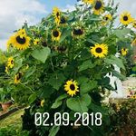 John Bernhard - @berthcool - Instagram