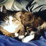 John Bertram - @code_galze - Instagram