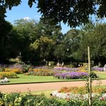 John Bester - @johnbester1956 - Instagram
