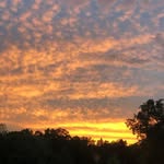 John Bethell - @bethell387 - Instagram
