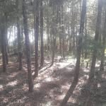 John Bett - @bettjohn092 - Instagram