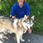 John Bevilacqua - @bevilacqua_john - Instagram