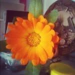 John Bevilaqua - @john_bevilaqua - Instagram
